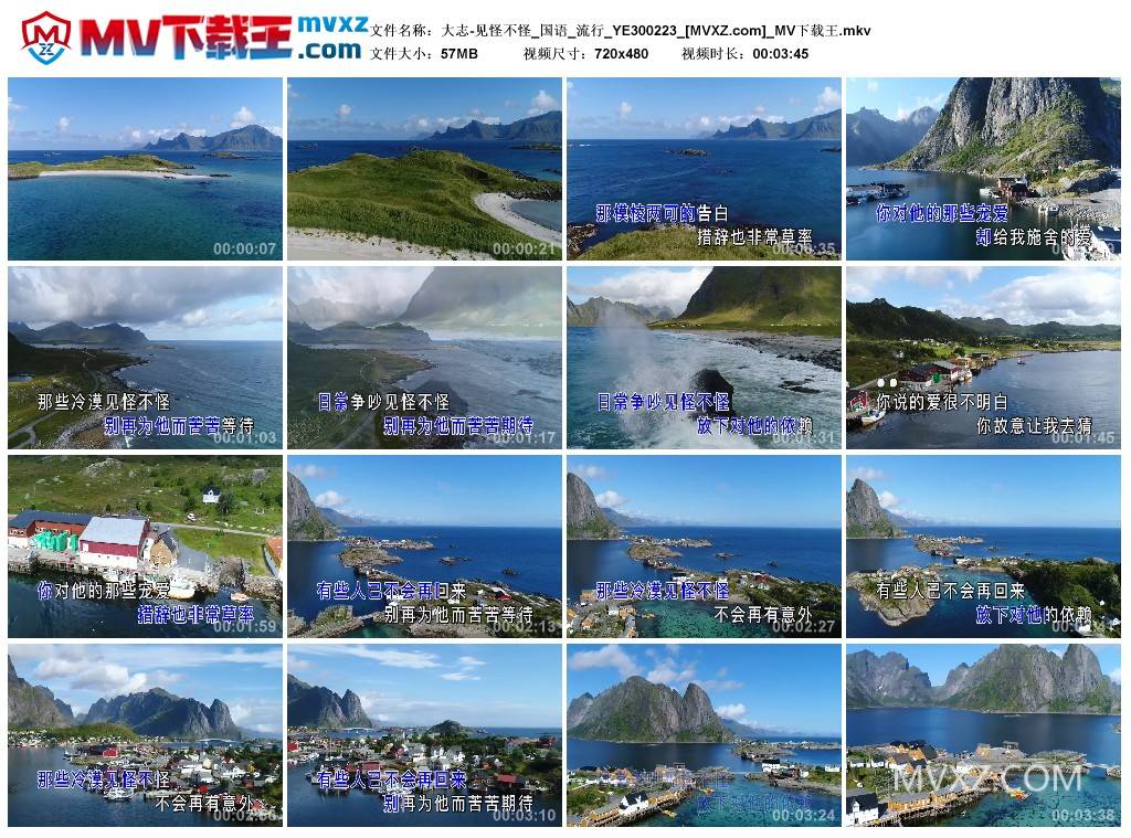 大志-见怪不怪_国语_流行_YE300223